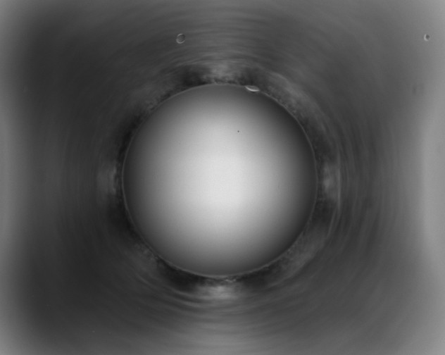X0000089420514200706151253