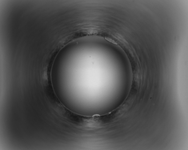 X0000089420516200706151253