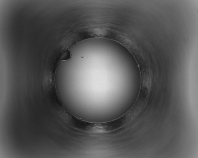 X0000089420518200706151253
