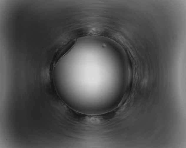 X0000089420520200706151253