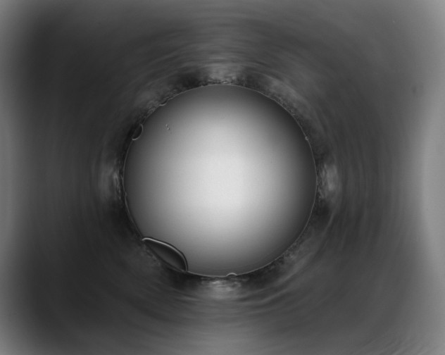 X0000089420522200706151253