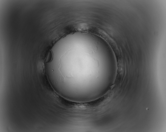 X0000089420523200706151253