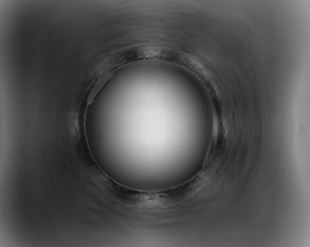 X0000089420524200706151253