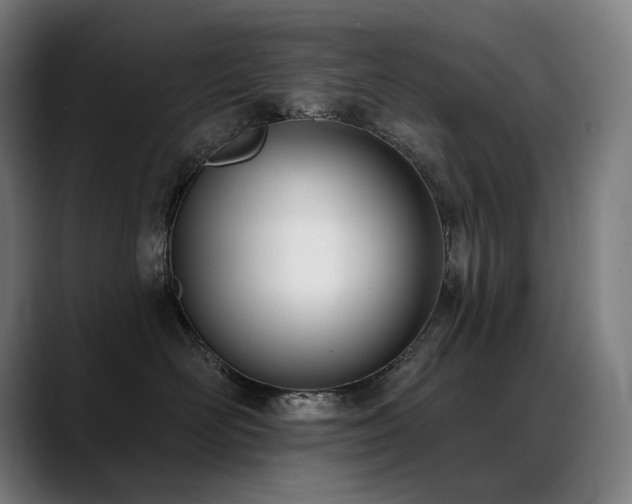X0000089420526200706151253