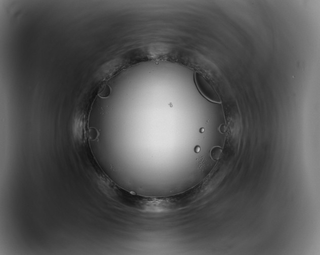 X0000089420527200706151253