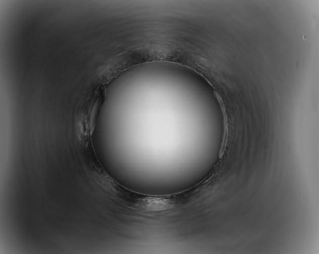 X0000089420528200706151253