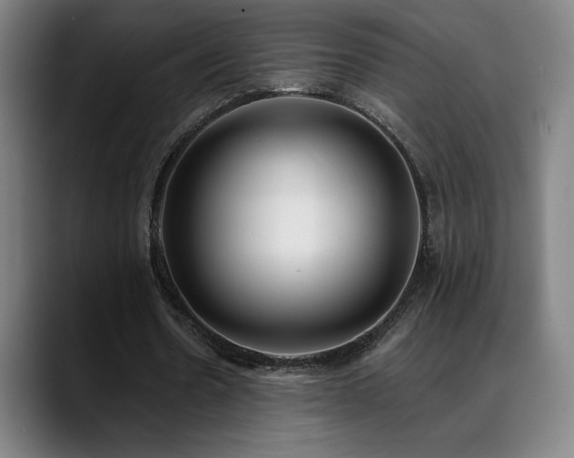 X0000089420530200706151252