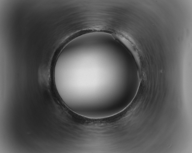 X0000089420532200706151252