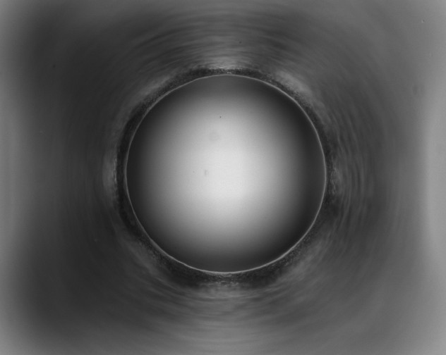 X0000089420535200706151252