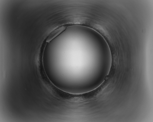 X0000089420536200706151252