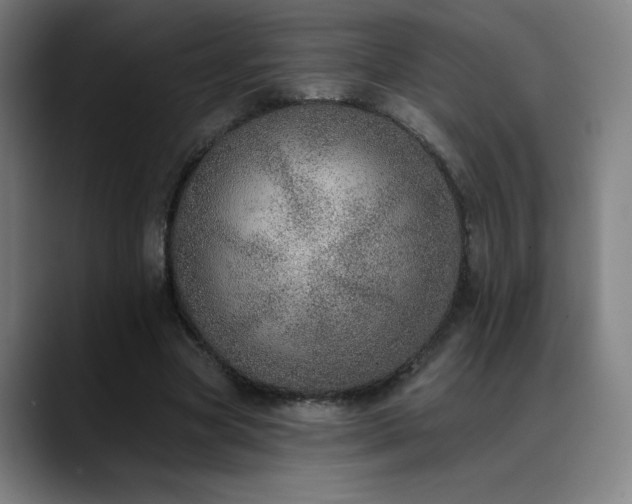 X0000089420537200706151252