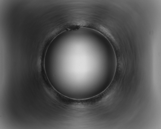 X0000089420538200706151252