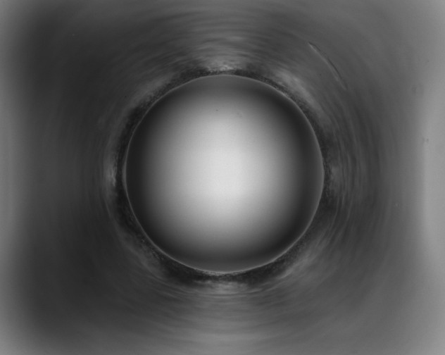 X0000089420539200706151252
