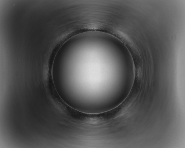 X0000089420540200706151252