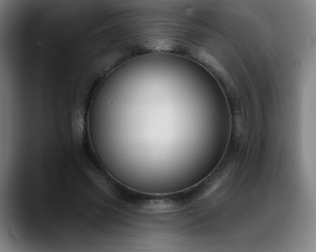 X0000089420541200706151252