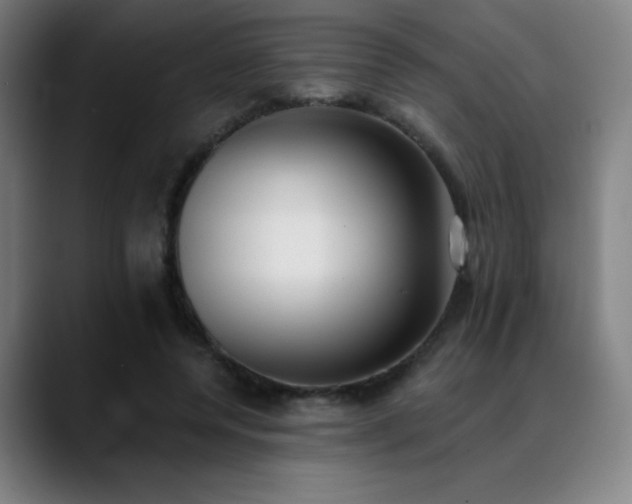 X0000089420544200706151252