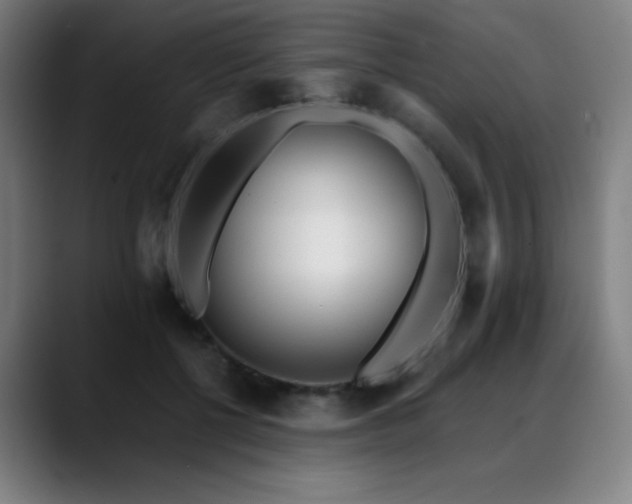 X0000089420552200706151252