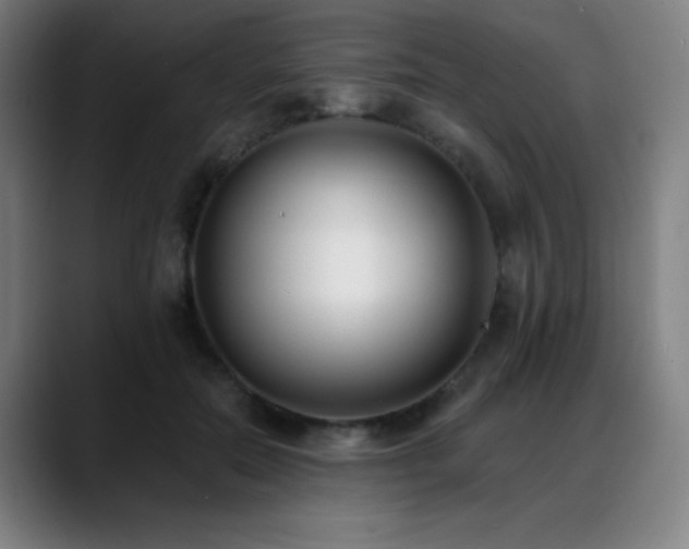 X0000089420554200706151252