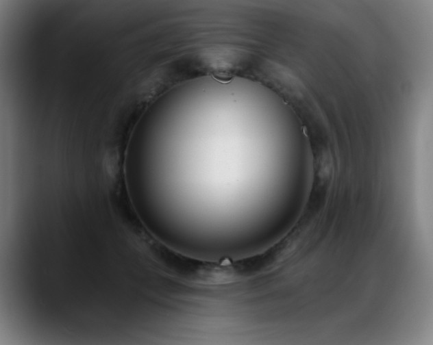 X0000089420559200706151252