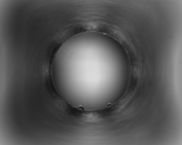 X0000089420561200706151252