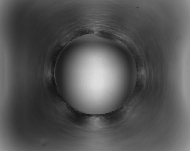 X0000089420566200706151253