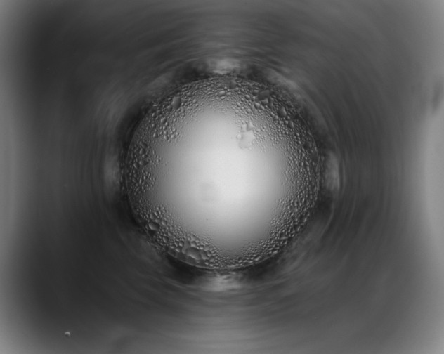 X0000089420569200706151253
