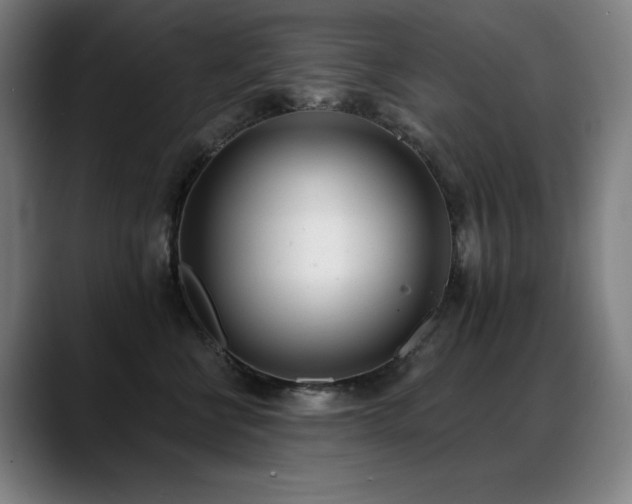 X0000089420570200706151253