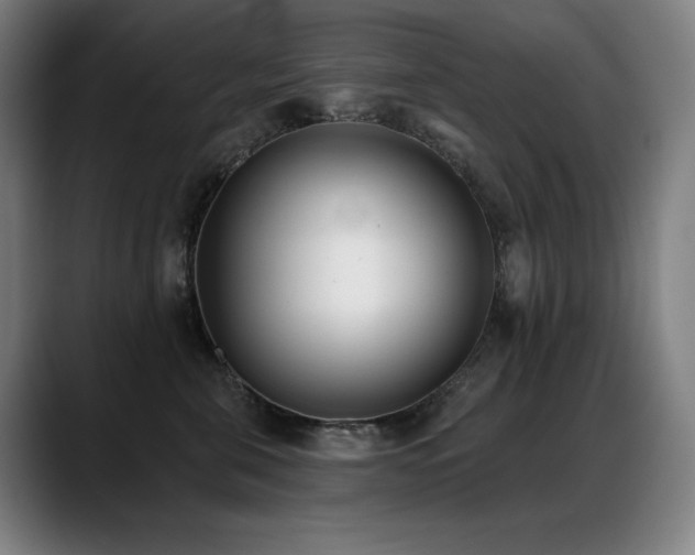 X0000089420571200706151253