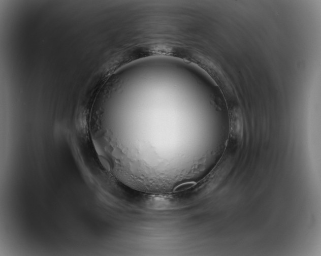X0000089420573200706151253