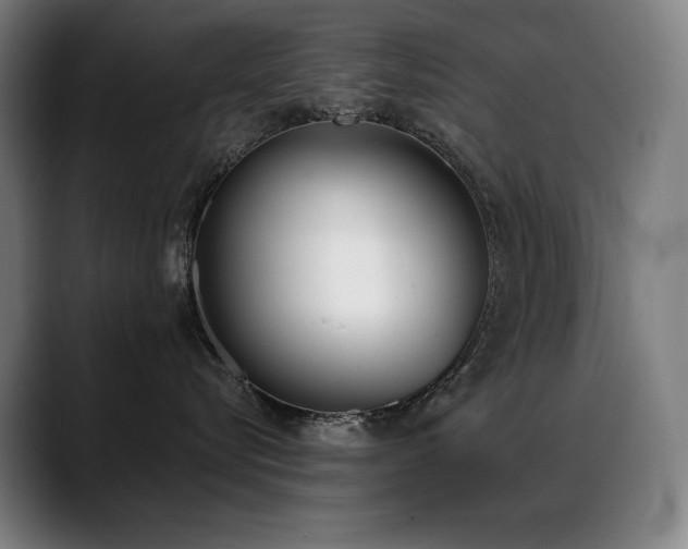X0000089420576200706151253