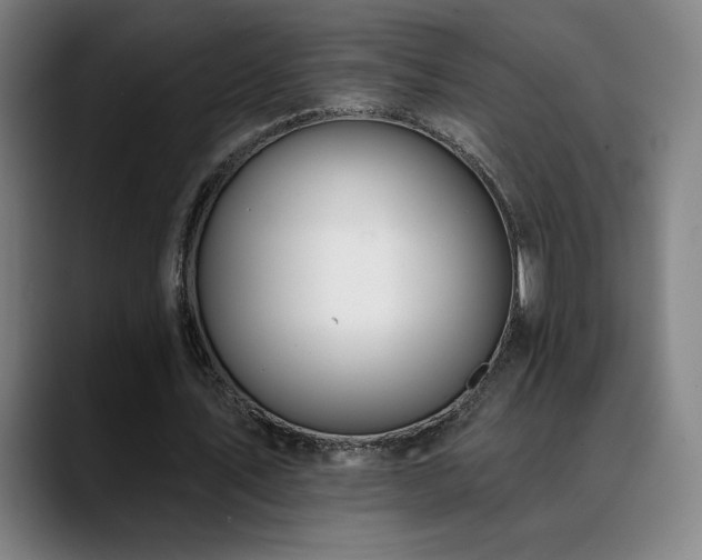 X0000089420579200706151252