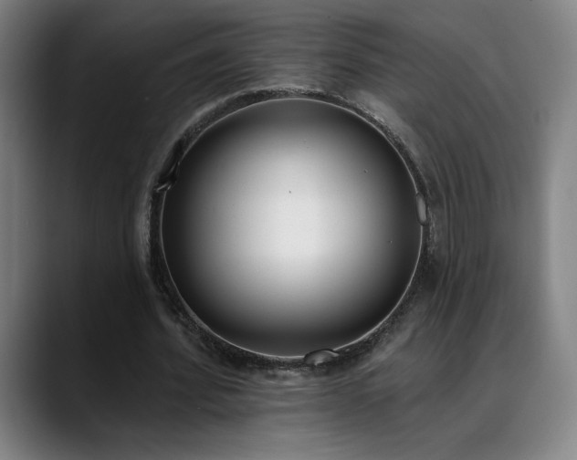 X0000089420580200706151252