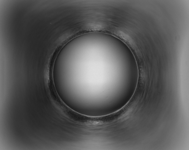 X0000089420582200706151252