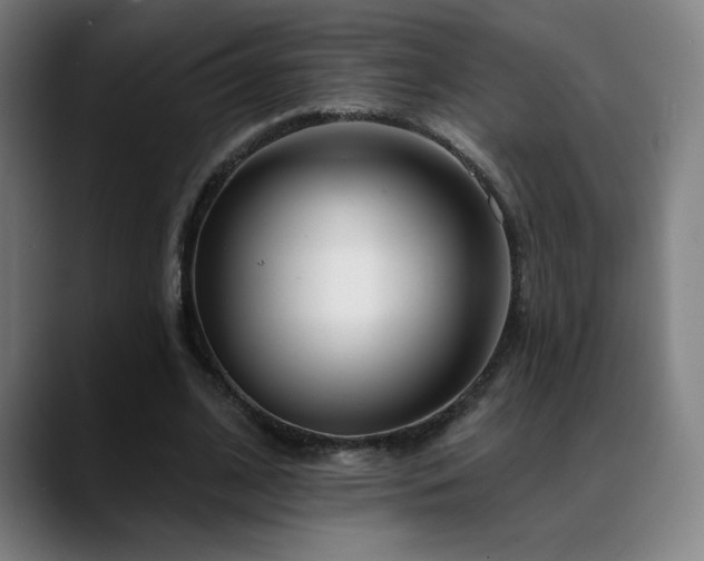 X0000089420584200706151252