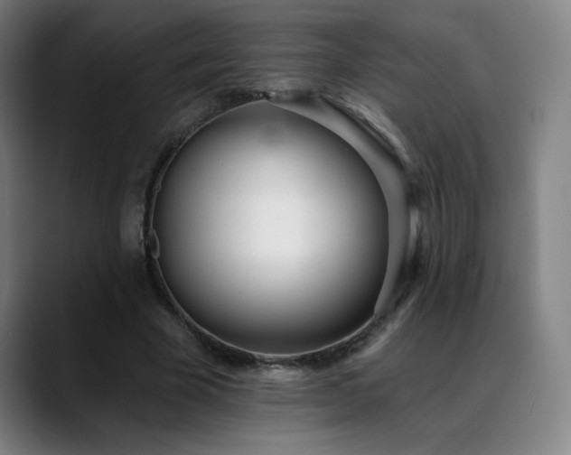 X0000089420585200706151252