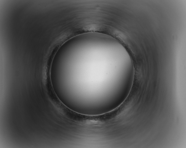 X0000089420586200706151252