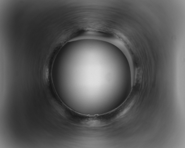 X0000089420589200706151252