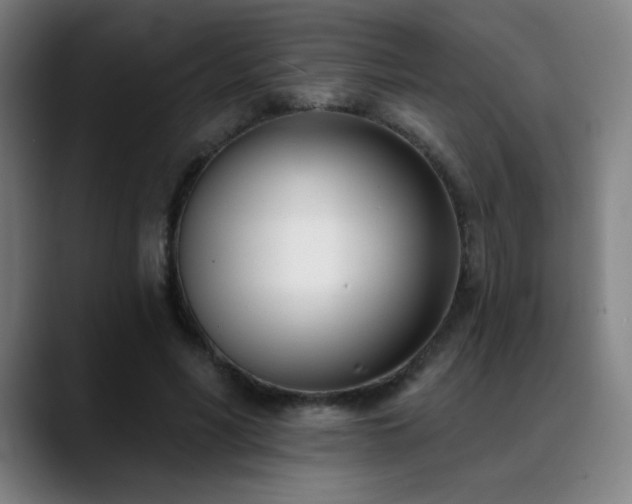 X0000089420590200706151252
