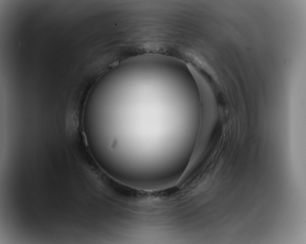 X0000089420593200706151252