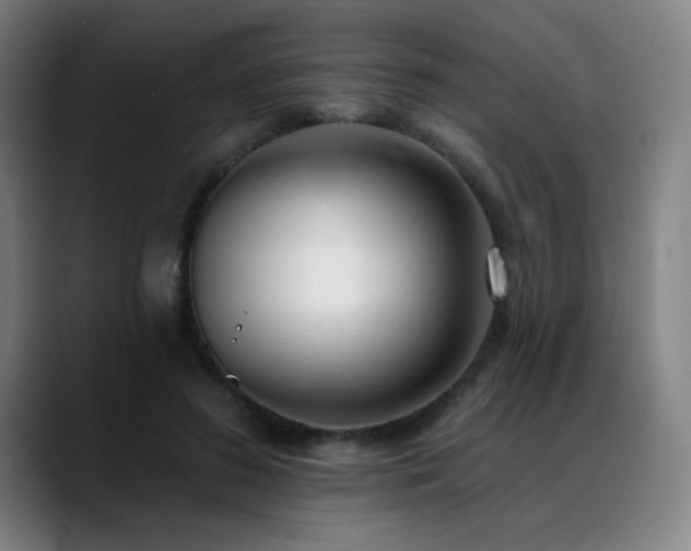 X0000089420596200706151252
