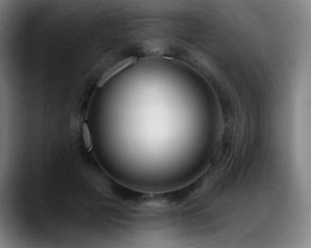 X0000089420601200706151252
