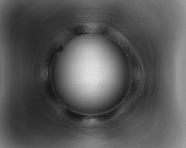 X0000089420602200706151252
