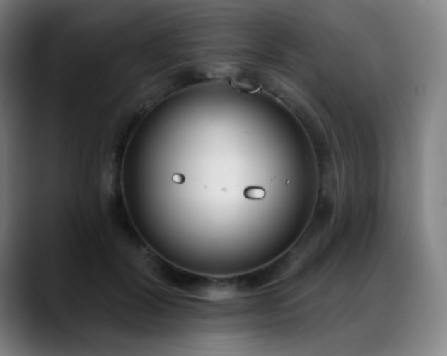 X0000089420604200706151252