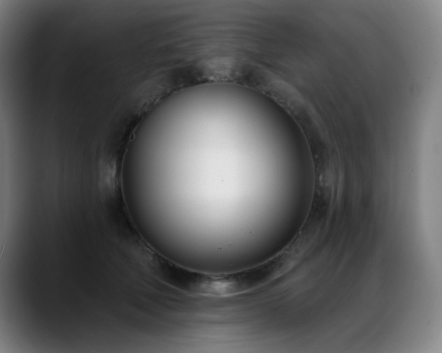 X0000089420610200706151252