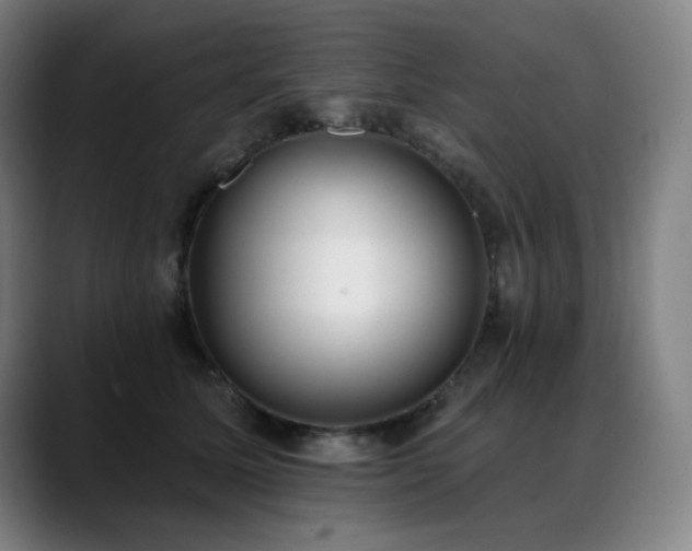 X0000089420611200706151252