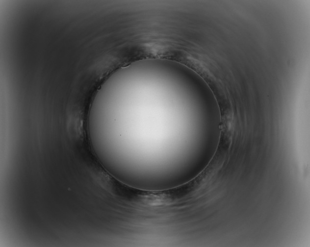 X0000089420615200706151252