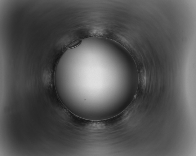 X0000089420619200706151252