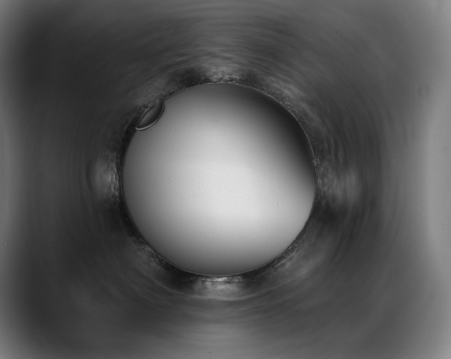 X0000089420622200706151252