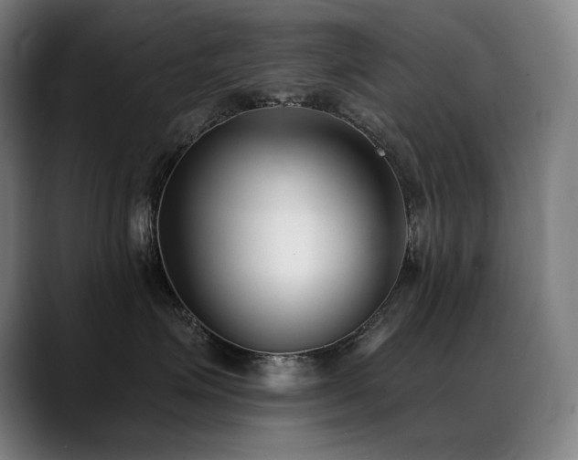 X0000089420623200706151252