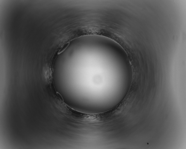 X0000089420624200706151252